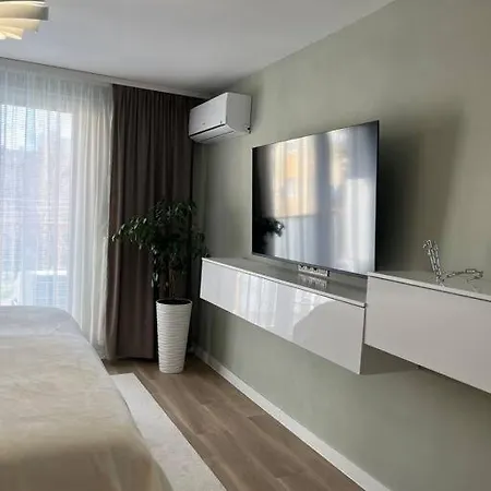 Artemis קושיצה